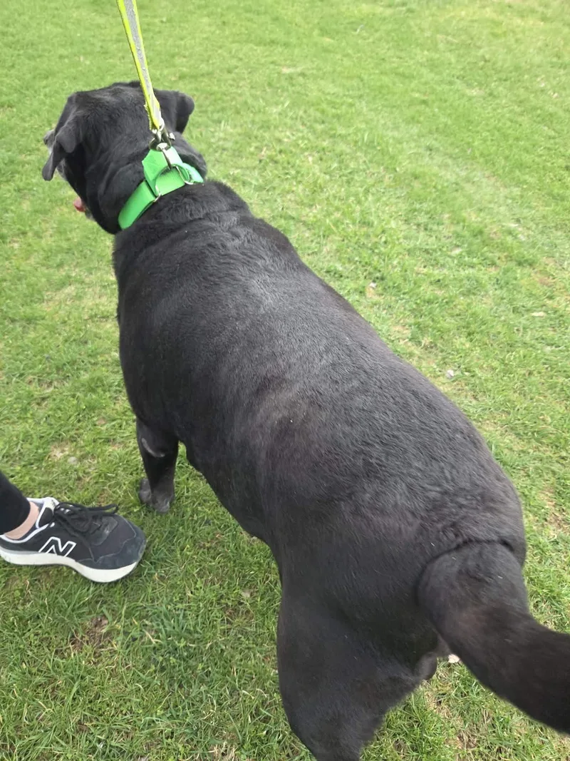 Rykernot Accepting Applications Yet!\ thumbnail 6