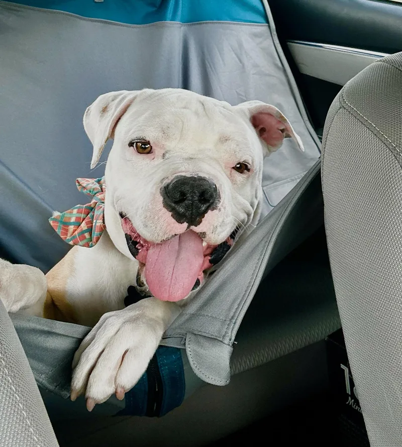 Bruce Wayne thumbnail 6