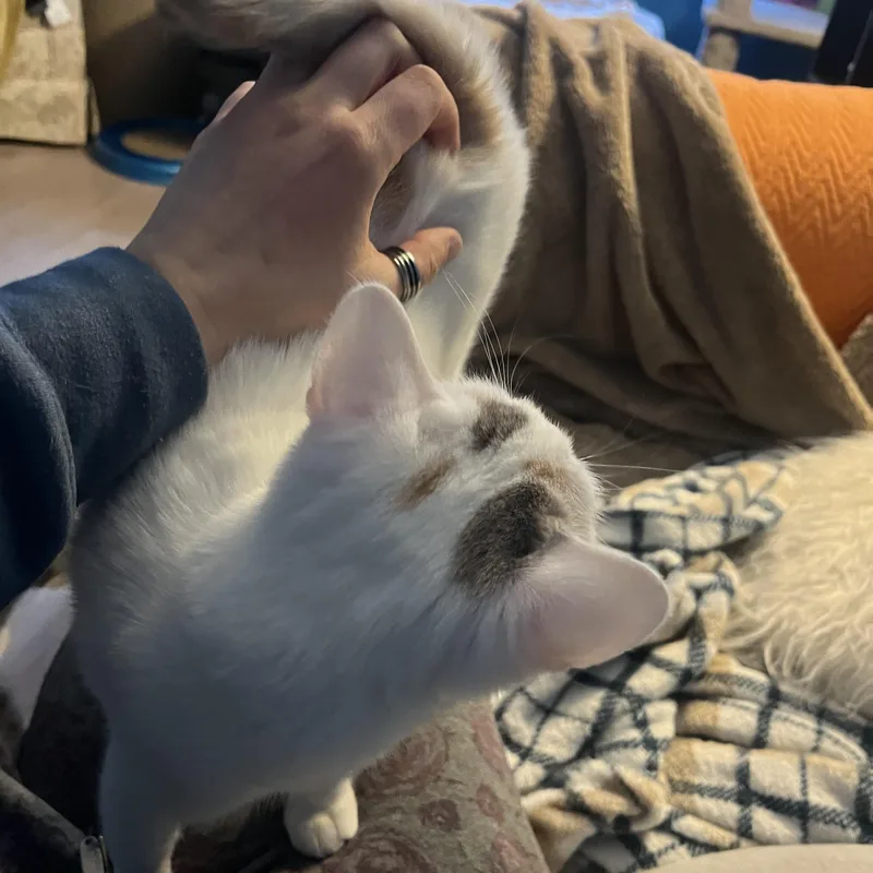 Mary Bee thumbnail 2