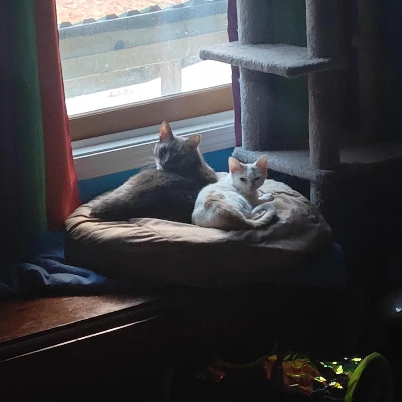 Mary Bee thumbnail 3