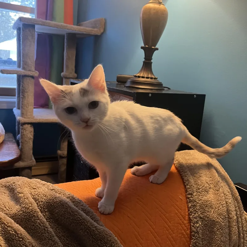 Mary Bee thumbnail 5