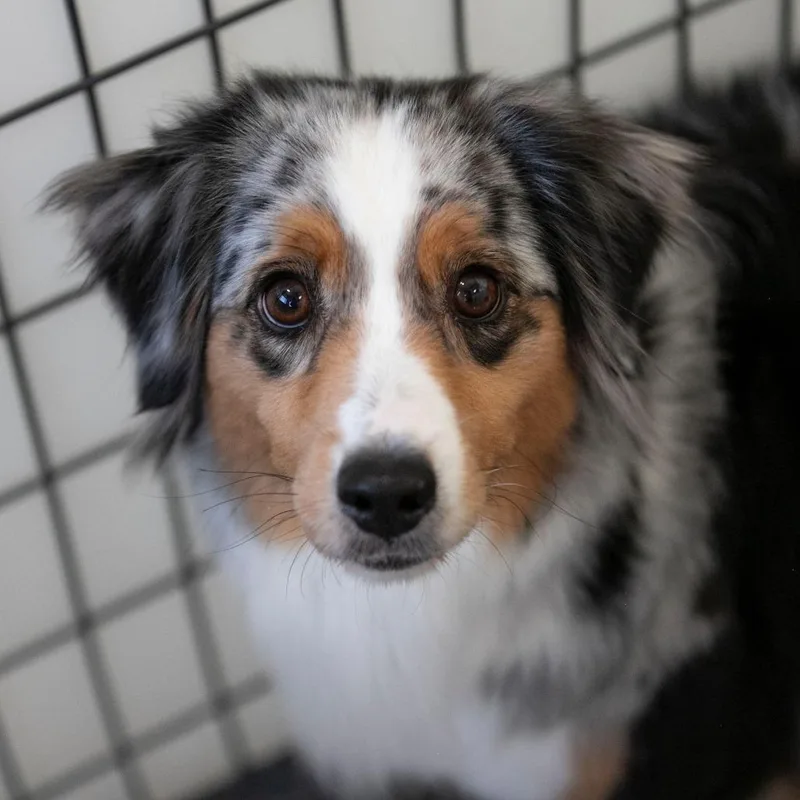 Browneyed Girl thumbnail 2