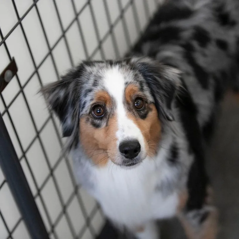 Browneyed Girl thumbnail 3