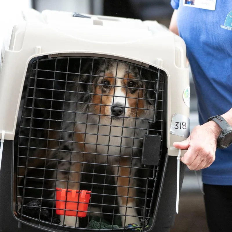 Browneyed Girl thumbnail 4