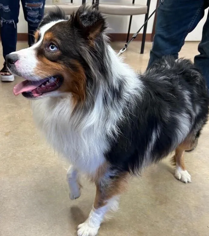 Max