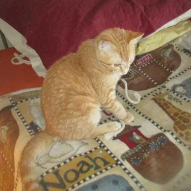 Sweet Buffie. Years thumbnail 2