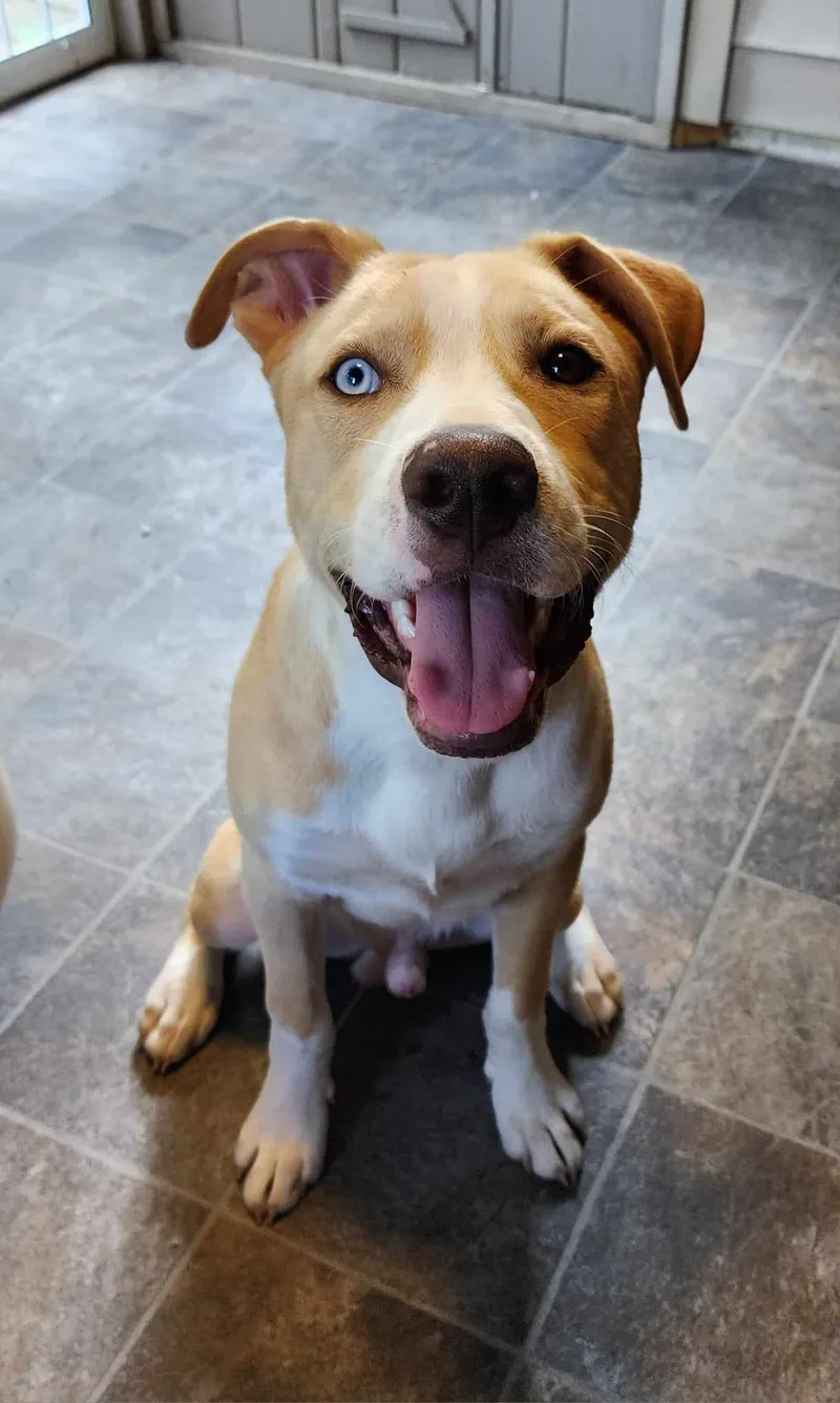 Sweet Boy Vinny thumbnail 6