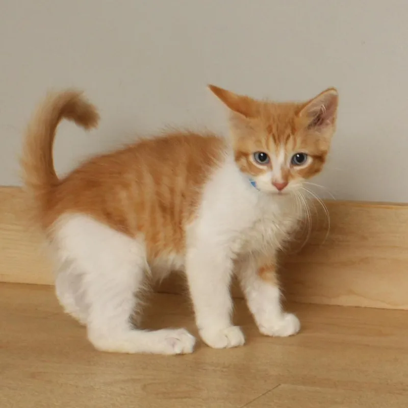 Butters C thumbnail 2