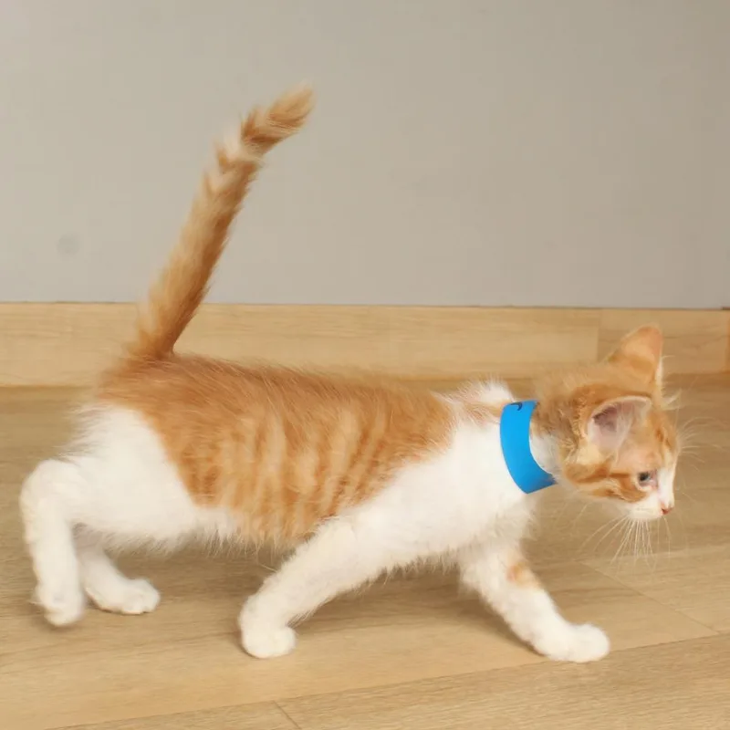 Butters C thumbnail 3