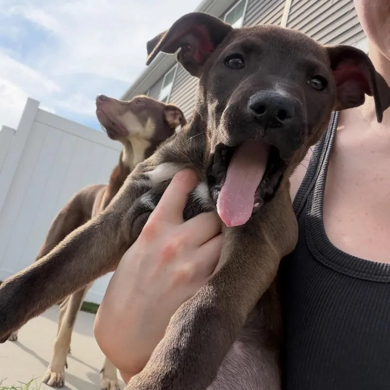 Brooklyn thumbnail 2