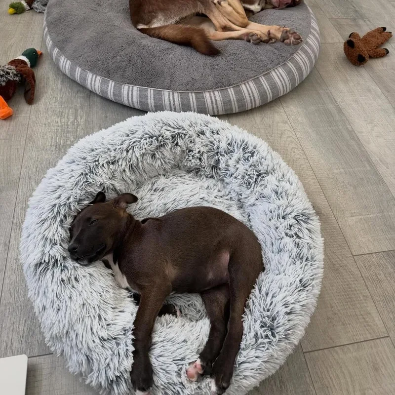 Brooklyn thumbnail 3