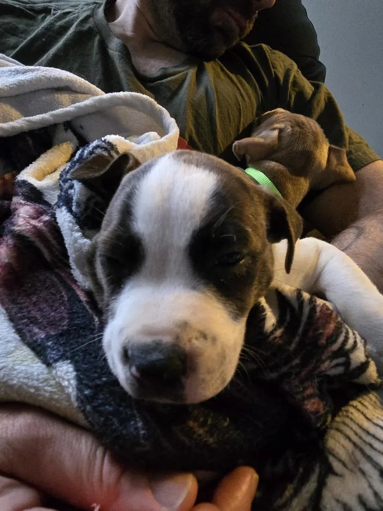 Lucky Charm thumbnail 2