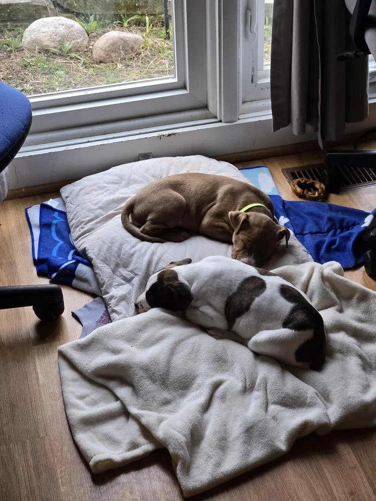 Lucky Charm thumbnail 5