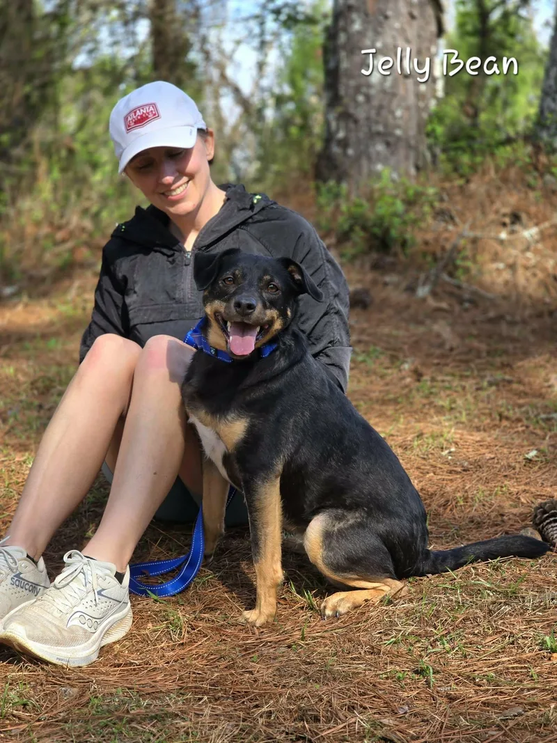 Jelly Bean thumbnail 5