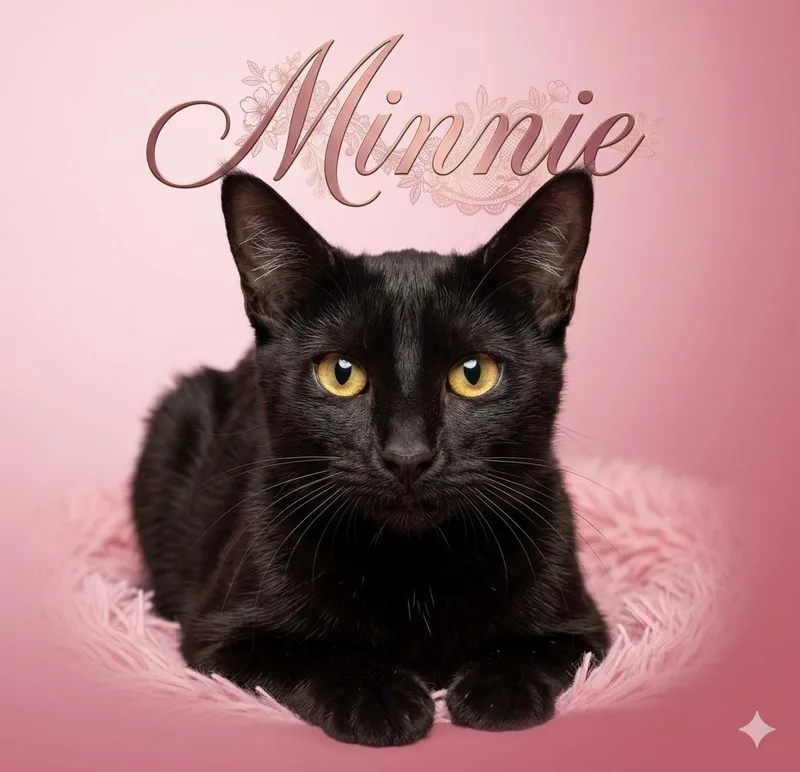 Minnie  sister of thumbnail 2