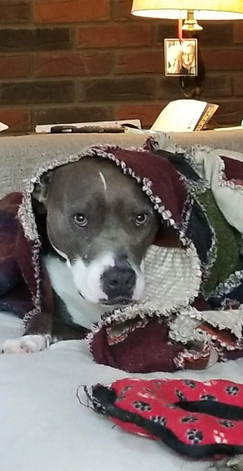 Juniper "junie" thumbnail 2