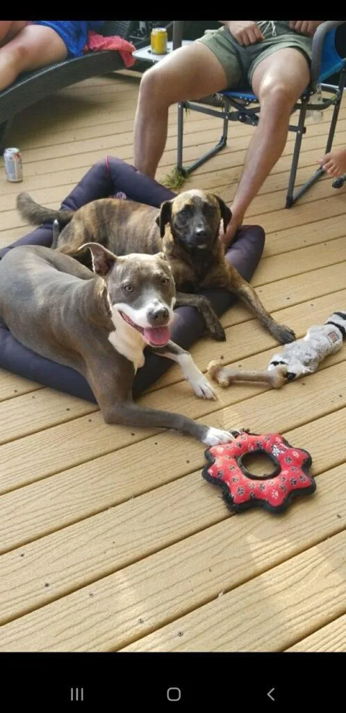 Juniper "junie" thumbnail 3