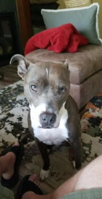 Juniper "junie" thumbnail 6