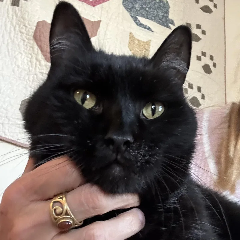 Cobb In Colorado thumbnail 3