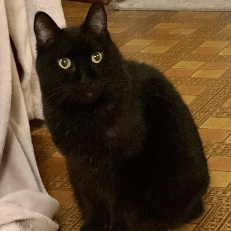 Cobb In Colorado thumbnail 6