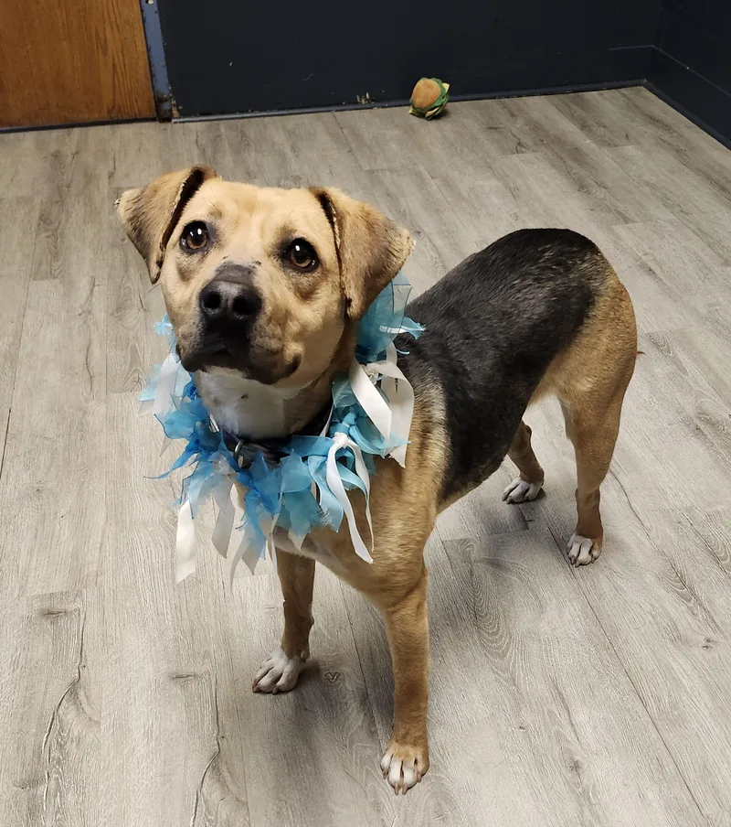 Duchess Don't Even thumbnail 2