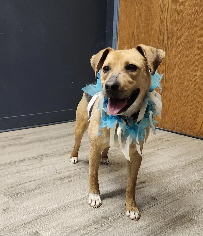 Duchess Don't Even thumbnail 3