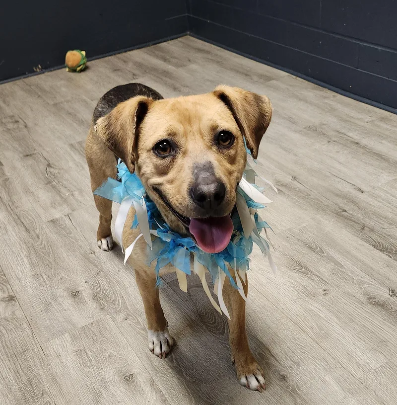 Duchess Don't Even thumbnail 4