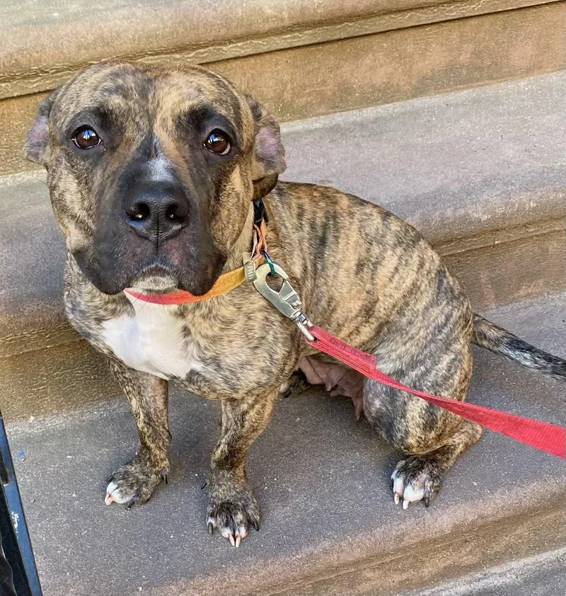 Lil Mama thumbnail 2