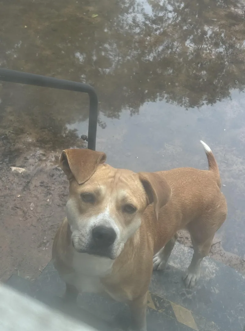 Gretchen thumbnail 2