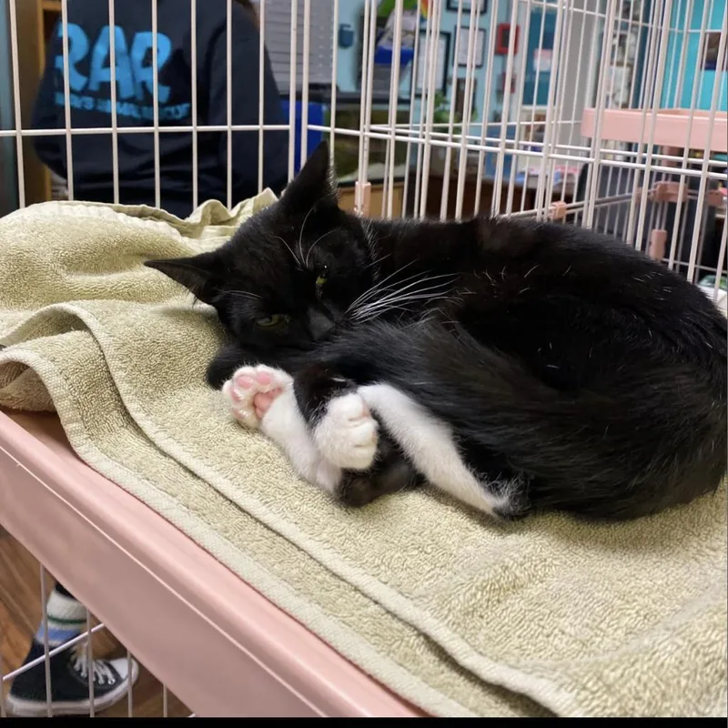 Passion Fruit thumbnail 3