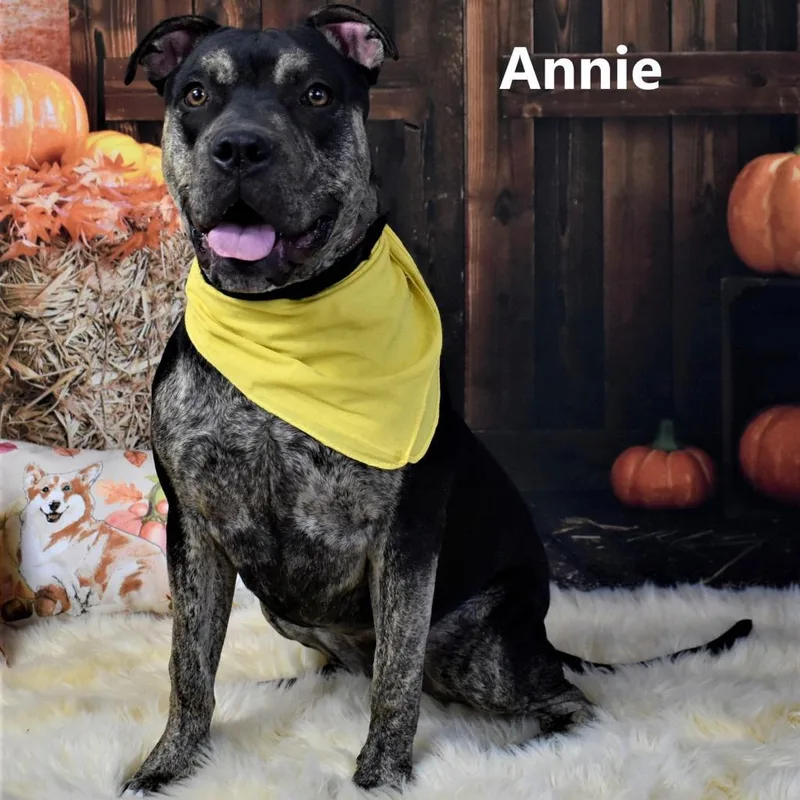 Annie