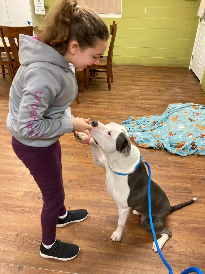 Sir Hector thumbnail 4