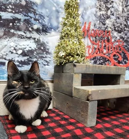 Paulette thumbnail 2