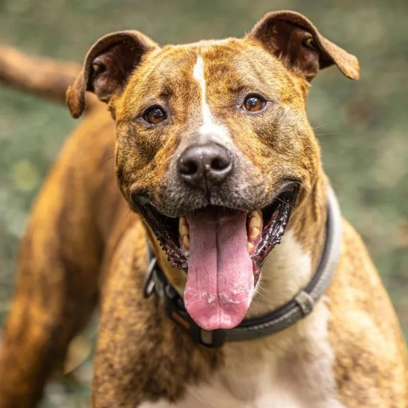 Flip Flop thumbnail 2