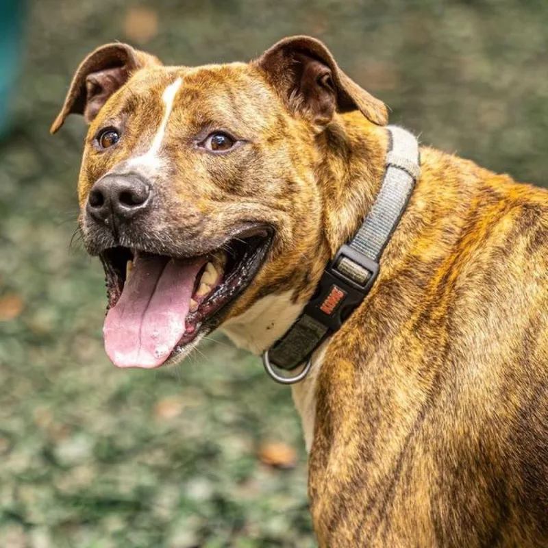 Flip Flop thumbnail 3