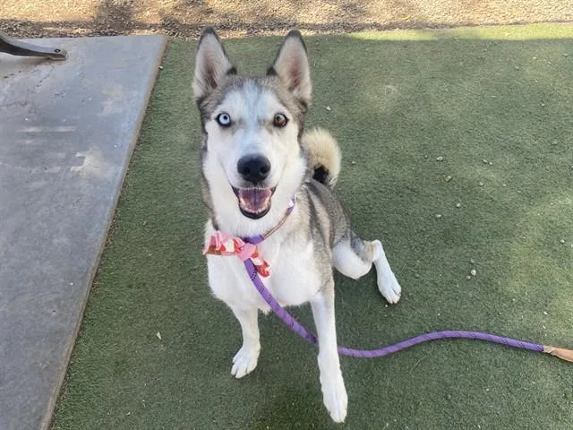 Luna