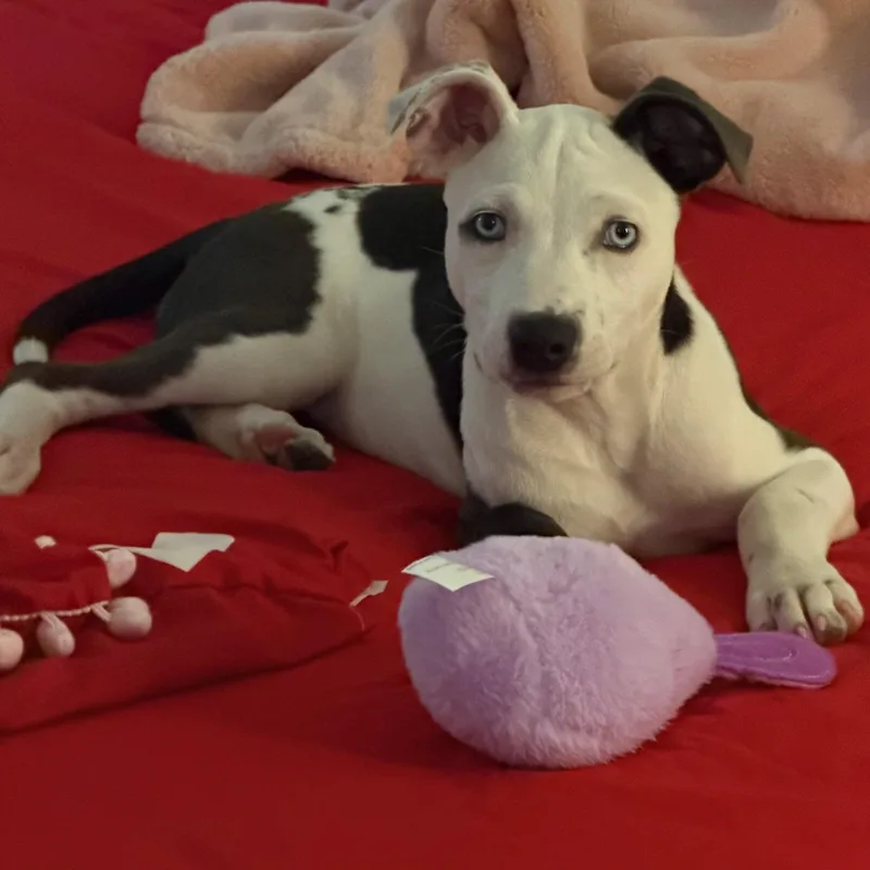 Peaches thumbnail 2