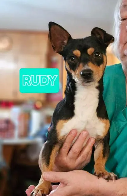 Rudy In La thumbnail 2