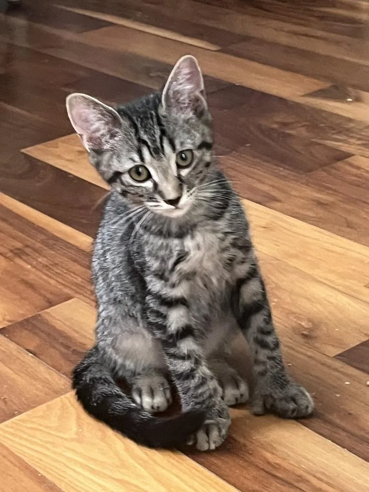 Chester