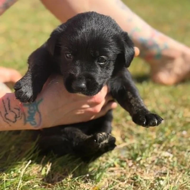 Bailey thumbnail 2