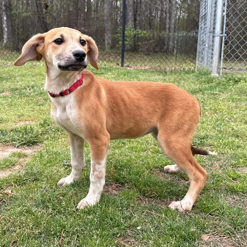 Francesca thumbnail 2