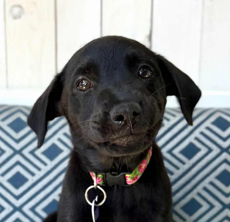 Matilda