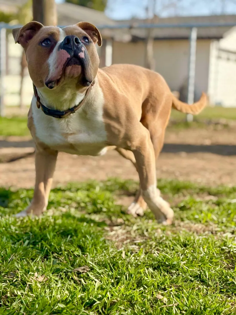 Kingston thumbnail 2