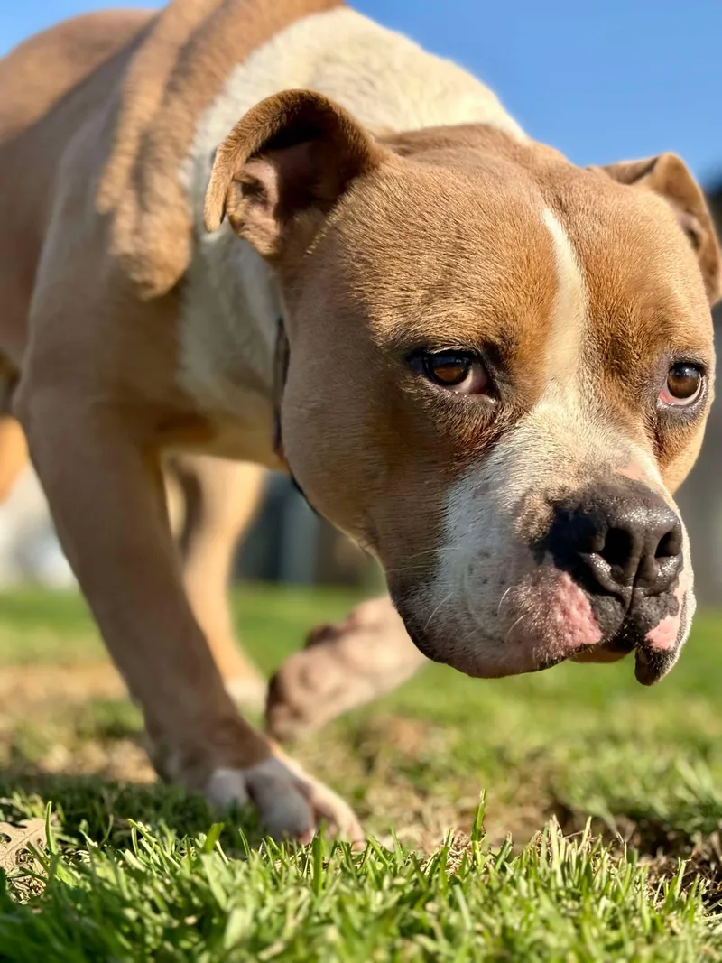 Kingston thumbnail 3