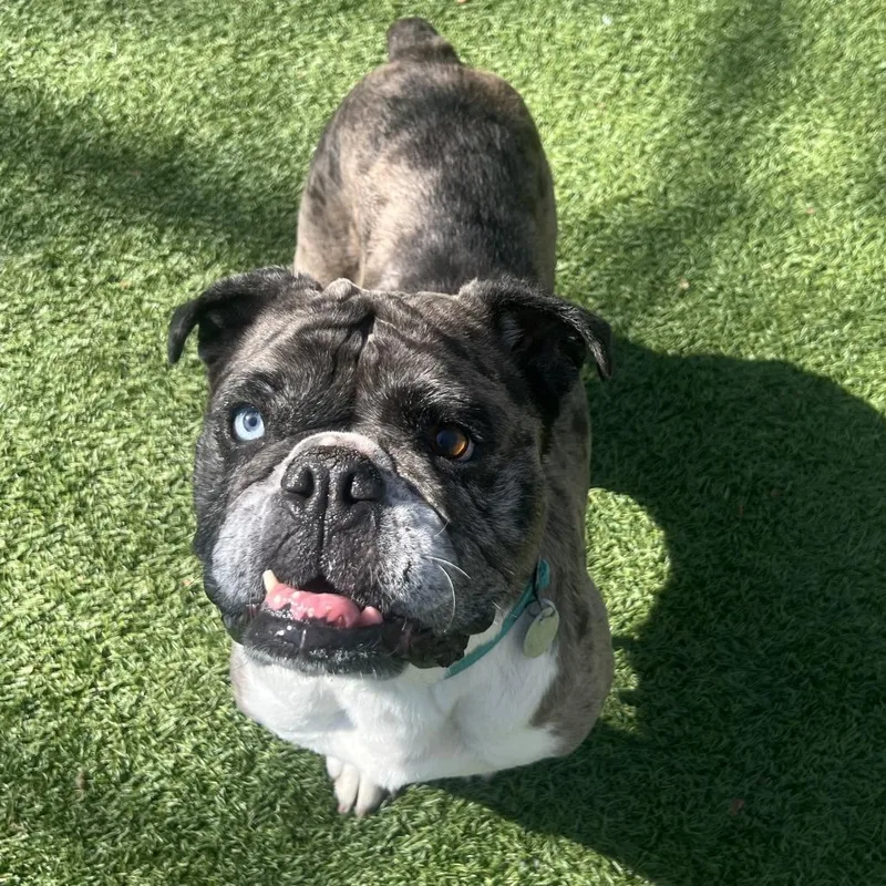 Confetti thumbnail 2