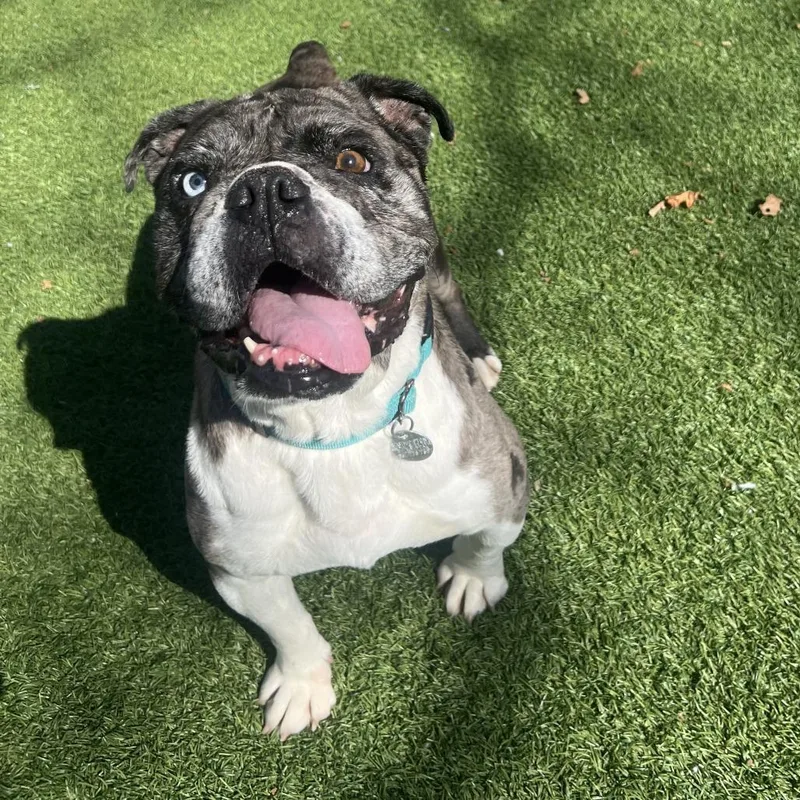 Confetti thumbnail 3