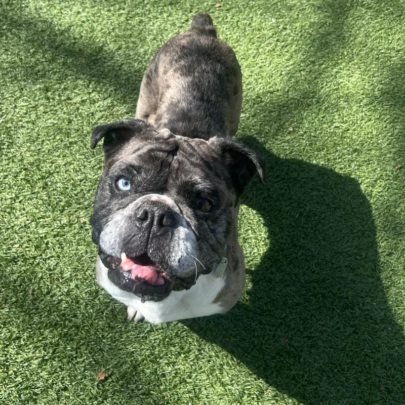 Confetti thumbnail 4