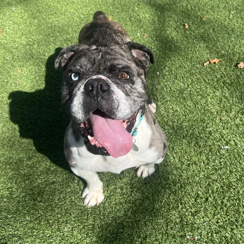 Confetti thumbnail 5