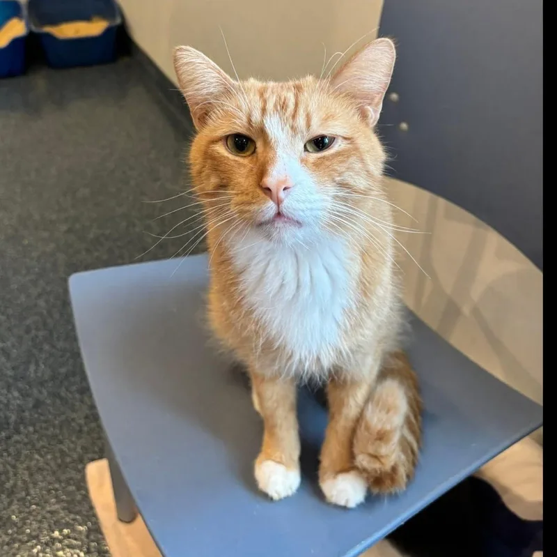 Tucker Ii thumbnail 6