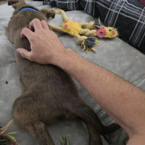 Ernie thumbnail 2